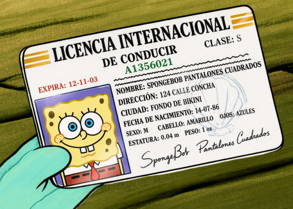 Guía de Validez del Permiso Internacional de Conducir (PIC) y Convenios de Ginebra y Viena